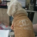 효정아파트경로당 이미지