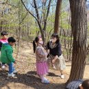 새보람유치원 이미지
