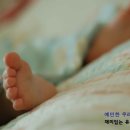재미유아 이미지