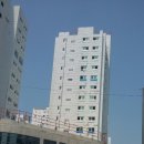 디자인동은
