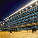 夜間競馬場Penning94 이미지