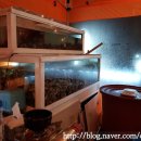 석화미용실 이미지