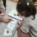 육대주센타 | 마마몽떼 몬테소리] 도안 마마몽떼 몬테소리 센터 수업 후기 (8) 겨울학기 크리스마스 특별 수업, 시...