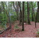 봉의농장 이미지