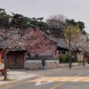 3.1운동길A 이미지