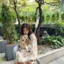 예쁘자나