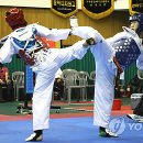 강진태권도체육관 이미지