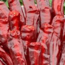 잉꼬농장 이미지