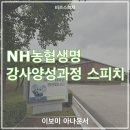 양성농협 | NH농협생명 강사양성과정 스피치 강의 | 보이스&화법 스킬 | 이보미 아나운서