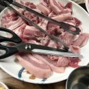 강원식당 이미지