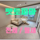 보광스타공인중개사사무소 이미지