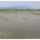 현대농장(A) 이미지