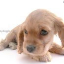 하루하루하루 이미지