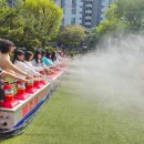 서울장평초등학교 이미지