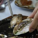 백사장회센터 이미지