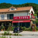 포도랑햇살
