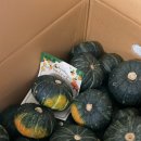 삼용농장 이미지