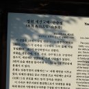 산수정 이미지