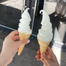 갈마곡교 간이화장실 | [대전] 불향 가득 🔥 뼈구이의 끝판왕: ‘농민뜨끈이’ 갈마점