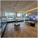 창원강아지분양 고양이분양 도그마루 | 창원도그마루에서의 특별한 강아지분양,고양이분양 경험