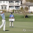 양지은농장 이미지