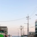 내탐마을 | 부산 해운대 해변열차 해운대블루라인파크 예약방법 열차이용후기