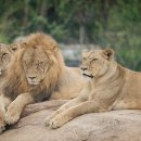 화진중학교 이미지