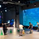 유아, 어린이 체험전기 <아이, 마이, 미, 마인> | [오픈][할인쿠폰] 사이언스 나이트 캠프 (대전 아쿠아리움)