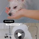 꼼꼼하개 이미지