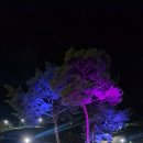 용두공원로 이미지