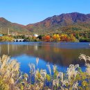 “가까운데 이렇게 예쁠 줄 몰랐어요” 서울에서 30분이면 닿는 조용한 가을 산책길 이미지