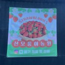 산모퉁이 | 인천 아이랑 가볼만한 곳 | 산모퉁이딸기체험 농원 리얼후기