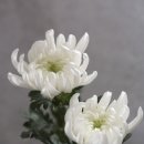 카톨릭병원 이미지