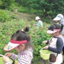 산속의 아침 이미지