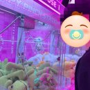 Y모텔(와이모텔) 이미지