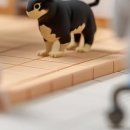 안심동물병원 이미지