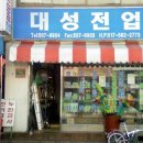 대성전업