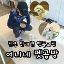 진주 출장 반려견 행동교정 수제간식 여니네 펫공방