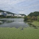 지리산쌍계한의원 이미지