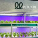 래빗가든 이미지