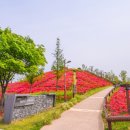 미사한강2호공원 이미지