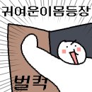 뷰티아일랜드