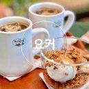 요커동탄 - 화성시 동탄대로5길 15 | 요커동탄