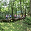 토함산자연휴양림 이미지