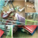 아이이불 창원 이미지