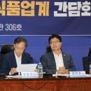 더불어식품