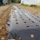 태평정미소 이미지