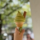 우리오토샾 | 교토 여행] 교토 세 번 다녀온 사람이 추천하는 맛집, 카페, 숙소, 편의점 내돈내산 후기 총정리 1탄