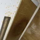 세븐일레븐 음성대소한양점 | 대소 한양아파트 부분청소 다녀왔어요.