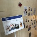 부산 광안리 셀프사진관 ㅣ메인스트림 스튜디오 재방문 후기